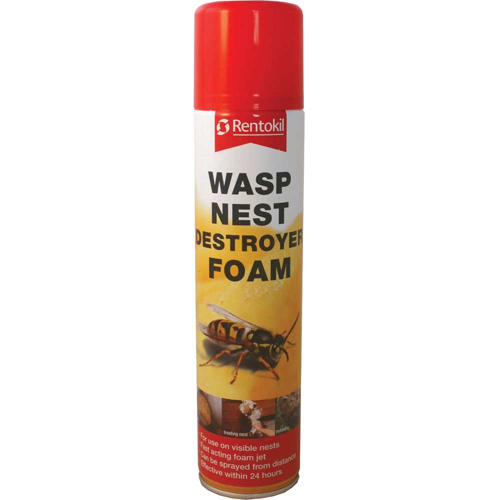 Wasp Destroy Foam Aerosol